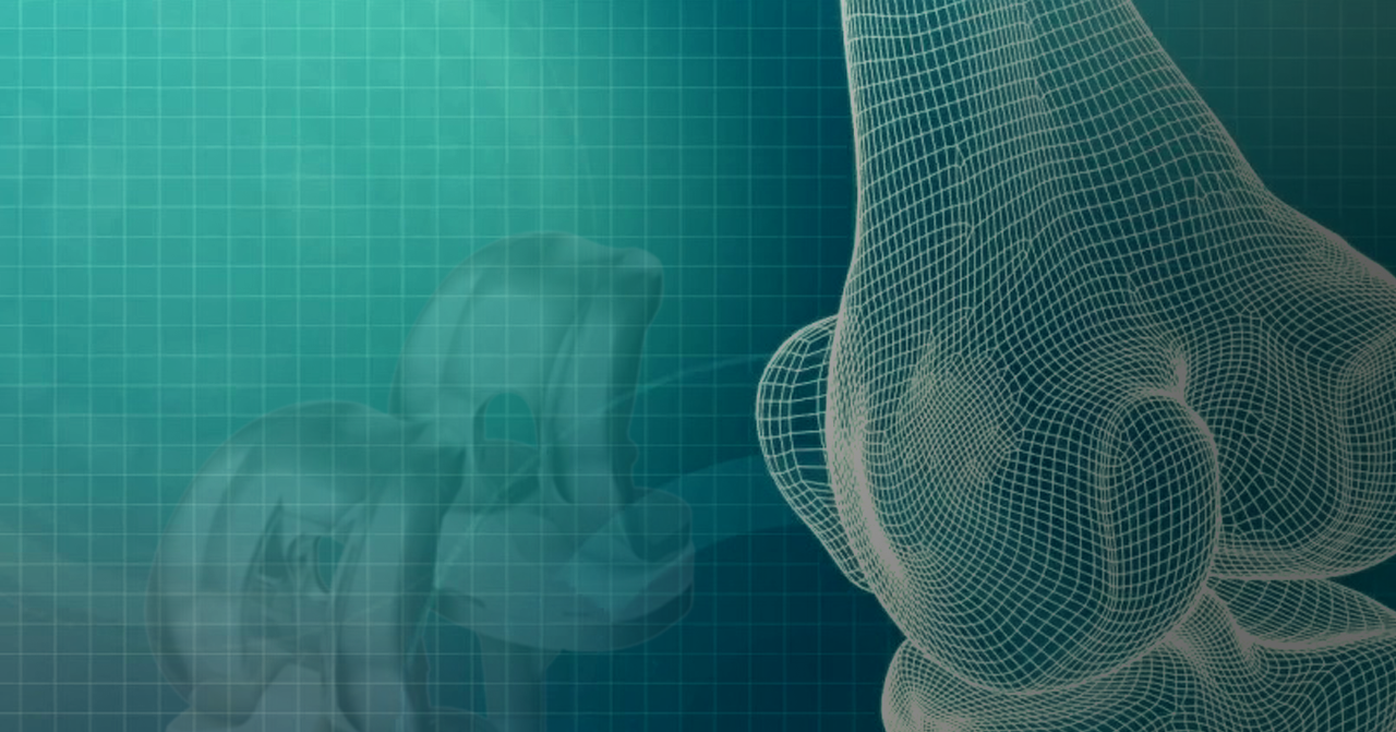 Portfolio Management Experts