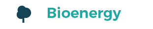 Bioenergy Property Rights Icon